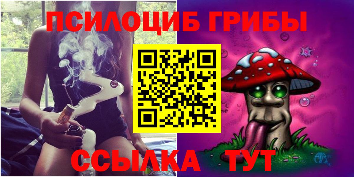 Галлюциногенные грибы Psilocybine cubensis  Вход с VPN  Боровичи 