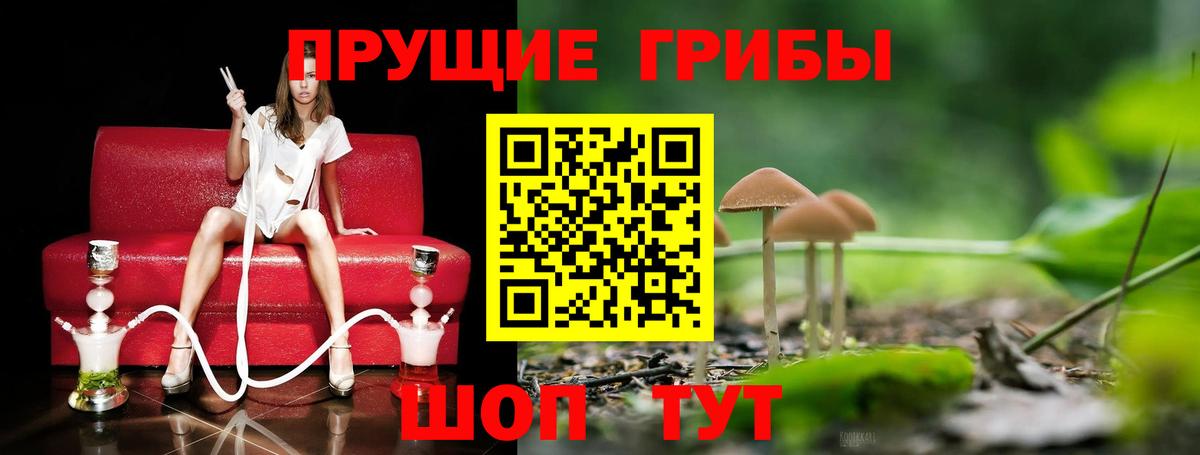 Галлюциногенные грибы Magic Shrooms Боровичи